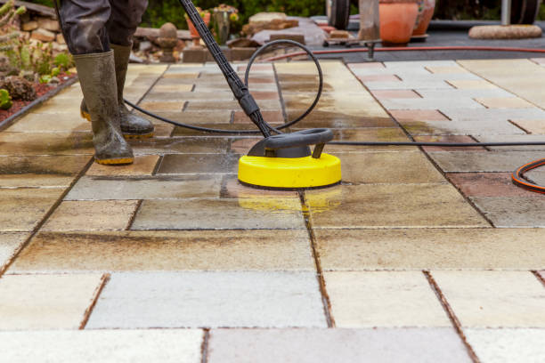 Solar Panel Cleaning in Rising Sun, IN